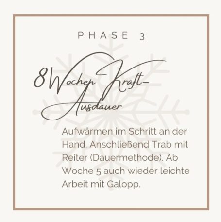 Phase 3: 8 Wochen Kraft-Training, mit Hinweis auf Übungen und Fortschritte.