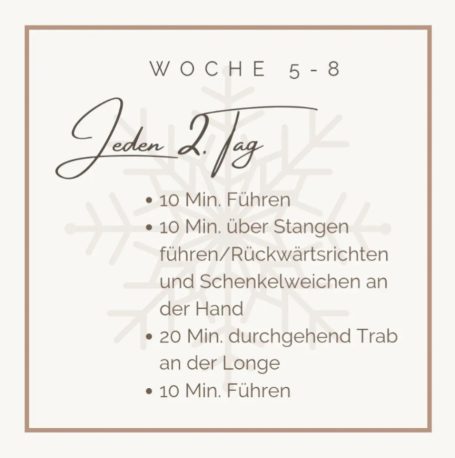 Trainingsplan für Woche 5-8 mit täglichen Übungen und Zeiten.