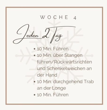Plan für Woche 4: 30 Min. Führen, 40 Min. Über Stangen, 10 Min. Trab an der Longe.