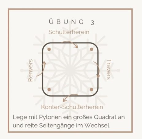 Anleitung für Übung 3: Quadrat mit Pylonen markieren, Seitenlängen wechseln.